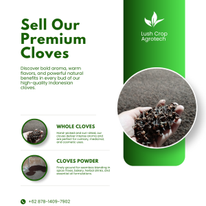 Premium Cloves Whole & Ground Cloves