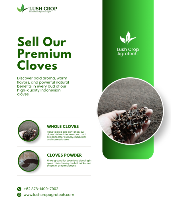 Premium Cloves Whole & Ground Cloves