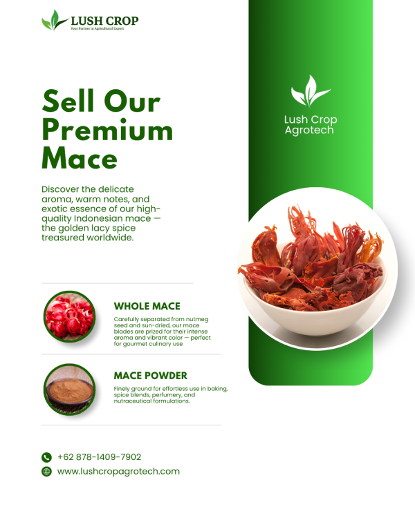 Premium Mace Supplier – Nutmeg Mace