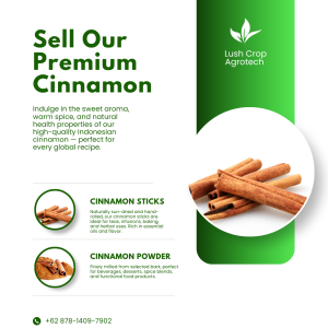 High Quality Indonesian Cinnamon