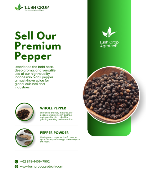 Premium Black Pepper from Indonesia – Whole & Bold Flavor