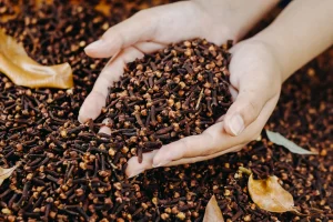 Top quality whole spices from certified international spice supplier Indonesia